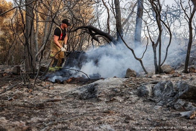 Strażacy z Komendy Powiatowej Państwowej Straży Pożarnej w Pleszewie znaleźli się w gronie blisko 70 strażaków z Wielkopolski, którzy wyjechali do Grecji gasić ogromne pożary.