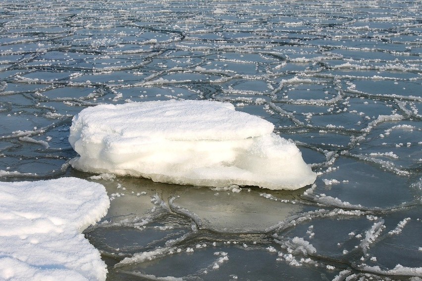 Promy nie kursują z powodu kry, która płynie Dunajcem