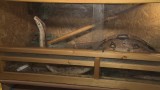Dwumetrowy boa dusiciel w piwnicy bloku w Jastrzębiu. Wąż już w schronisku WIDEO + ZDJĘCIA