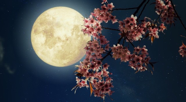Pełnia kwiatowego księżyca. 26 maja księżyc będzie miał niesamowite barwy