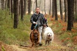 Psie piękności na trasie w Lublińcu. 300 uczestników dogtrekkingu. Zobacz zdjęcia