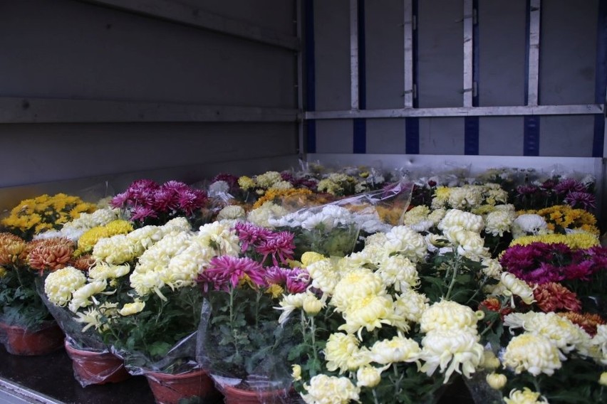 Władze Piekar Śląskich wspierają handlarzy kwiatów. Zobacz...