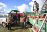 Dożynki minęły, czas na pokopki. Impreza w tą niedzielę w Karzniczce