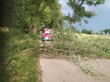 Wichury w Polsce. Huraganowy wiatr łamał drzewa. Strażacy z Węgorzewa mieli co robić (zdjęcia)