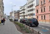 Poznań zwalnia miejsca parkingowe na ulicach, by sadzić drzewa i krzewy