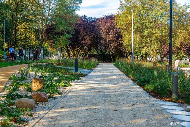 Pierwsza i druga część Parku Centralnego w Gdyni są już gotowe. Teraz czas na realizację trzeciego etapu.