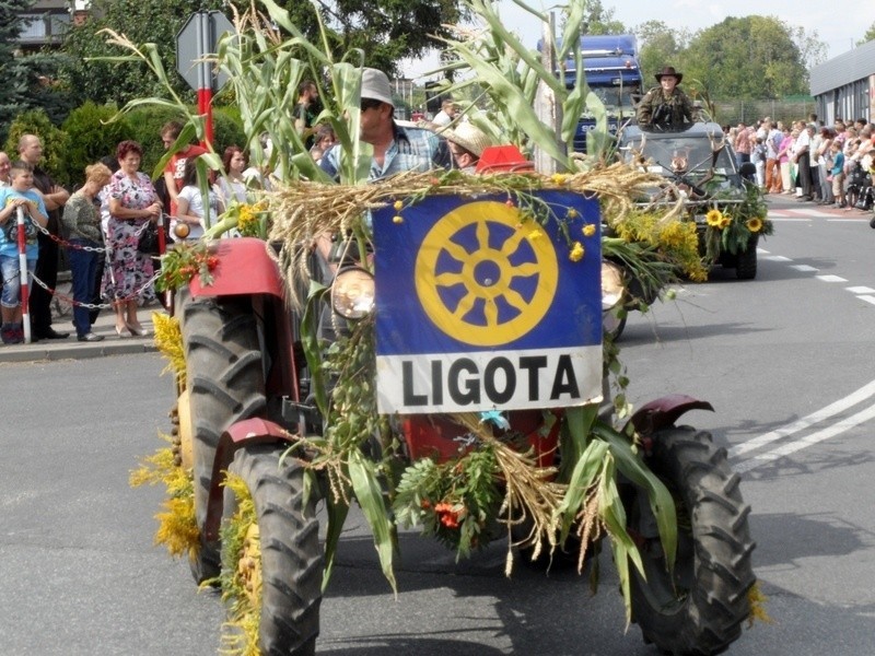 XXVI Dni Ziemi Woźnickiej tradycyjnie połączono z dożynkami [FOTO]