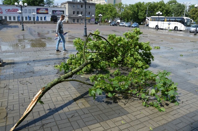 Na Placu Piłsudskiego wichura ułamała duży konar klonu, a ten gdyby przy upadku trafił w kogoś, mógłby zranić