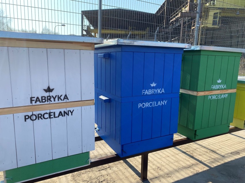 Na terenie Fabryki Porcelany w Katowicach znalazło się pięć...