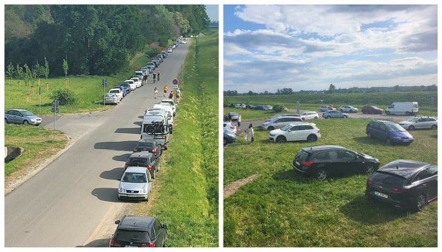 Kierowcy zaczęli parkować "na trawce", pomiędzy rosnącymi drzewami oraz wzdłuż ul. Bolkowskiej, lekceważąc obowiązujące w tym miejscu przepisy.
