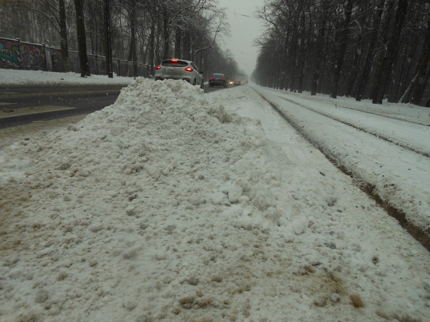 Na przystanku przy zoo śniegu jest po kolana. Piesi mają problem, aby dostać się na tramwaj