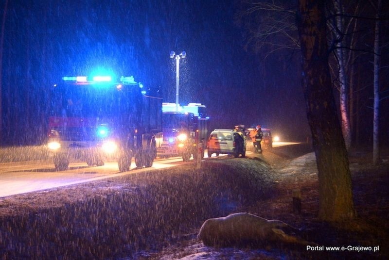 Wypadek na DK 65: Ciemnoszyje - Osowiec. Renault zderzyło się z łosiem