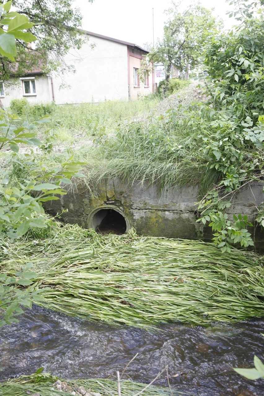 Powódź w Dąbrowie Górniczej: Podtopienia w Strzemieszycach