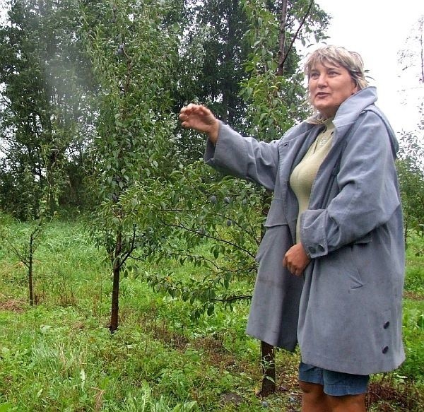 - Teraz nie ma już śladu po tej katastrofie &#8211; dodaje Eleonora Ciułkowska, obecna właścicielka sadu, gdzie 51 lat temu rozbił się samolot.