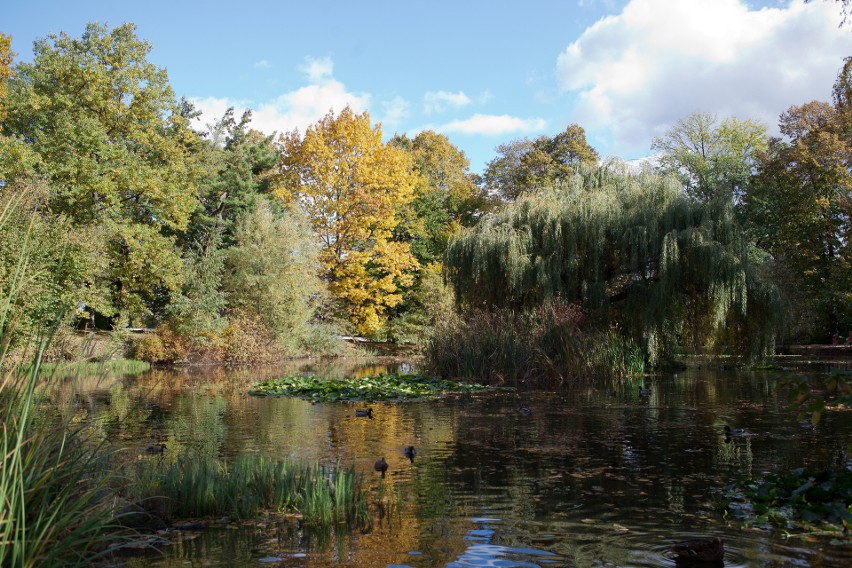 Zabytkowy park w Łańcucie w jesiennej odsłonie. To idealne miejsce na spędzenie wolnego czasu [ZDJĘCIA]