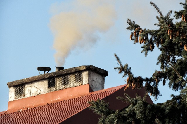 Piece węglowe generują największe zanieczyszczenie powietrza na terenie Białych Błot.