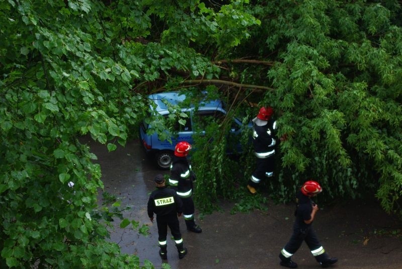 Samochód przygnieciony przez drzewo po burzy