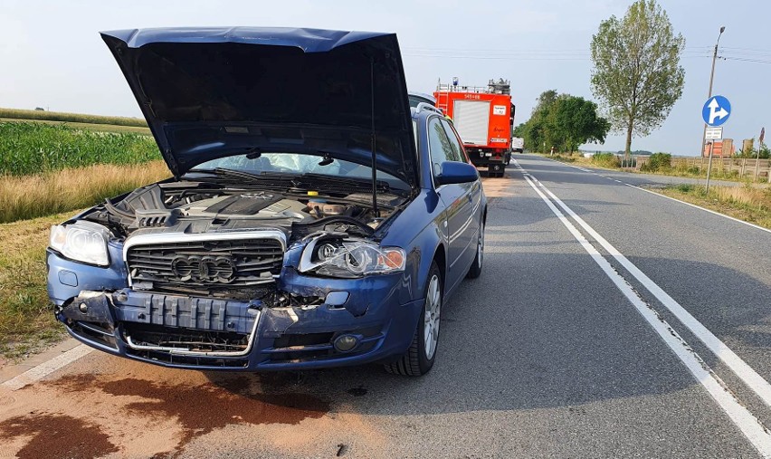 Wypadek w Rogowie-Folwarku, na drodze wojewódzkiej nr 677. 30.06.2022 doszło do zderzenia pięciu pojazdów. Zdjęcia