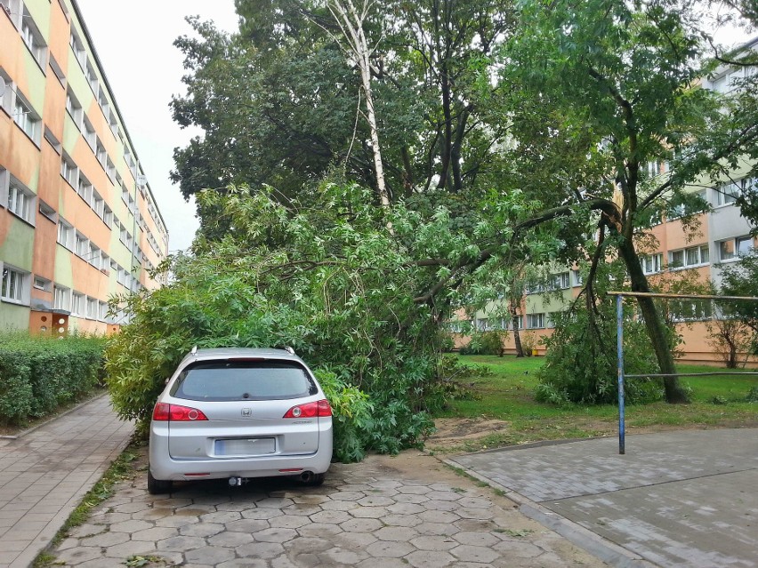 Burza w Łodzi. Nawałnica nad Łodzią. Powalone drzewa, gałęzie na drogach, zalane ulice [ZDJĘCIA]