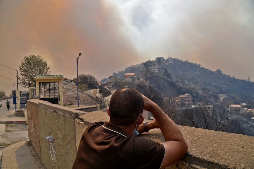 Algieria: 25 żołnierzy zginęło w ogniu, gdy pomagali mieszkańcom wsi. W Grecji giną bociany