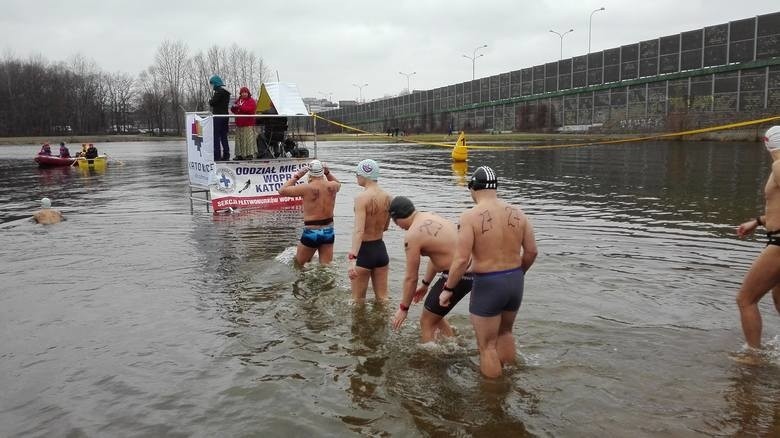 Historyczna wyprawa pływacka rusza na zawody, które odbędą się… w wodach Antarktydy. Siemianowiczanin trenuje w chłodni ZDJĘCIA