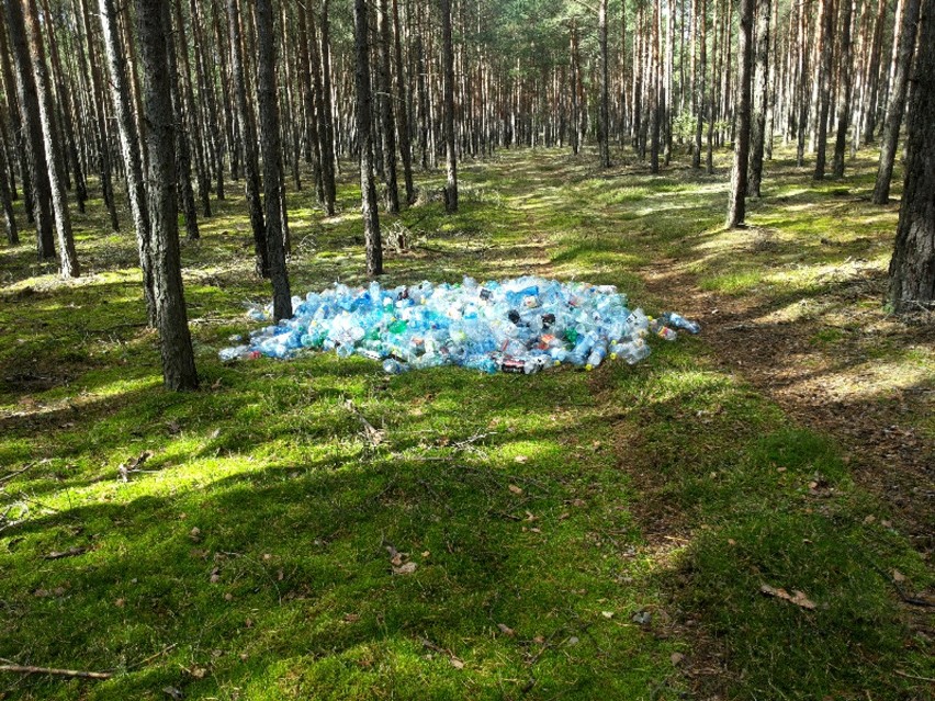 Plastikowe butelki leżą w lesie w pobliżu Jędrzychowa.