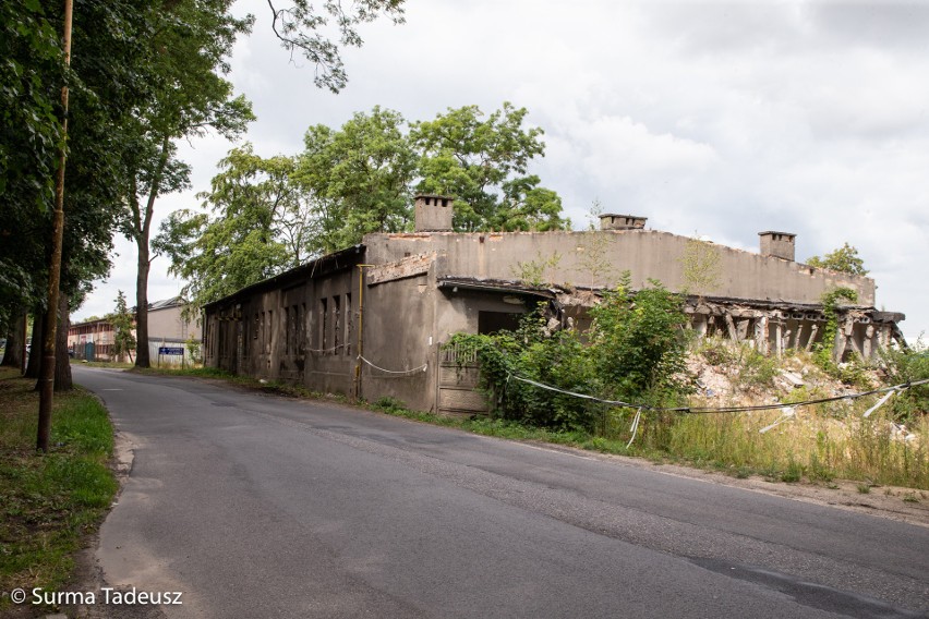 Nasz fotoreporter Tadeusz Surma wczoraj (5.08.2019 r.)...