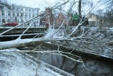 Ferie w Szczecinku zaczęły się jak na zimę przystało. Będą zamiecie śnieżne