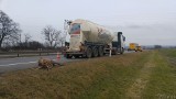 Ciężarowy mercedes śmiertelnie potrącił jelenia na autostradzie A4 w powiecie krapkowickim. Nie było utrudnień w ruchu