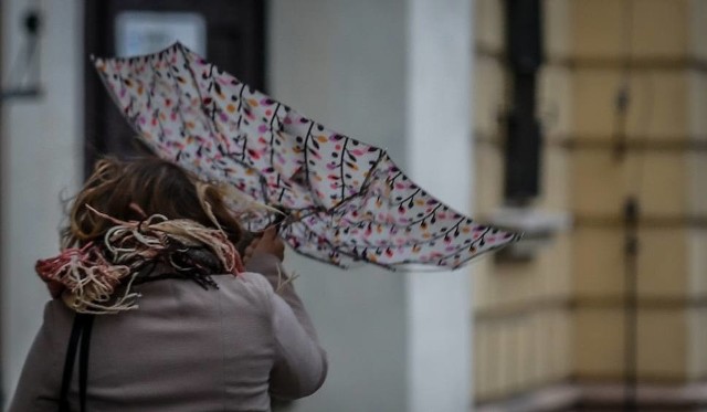 Uwaga na cyklon Bennet. W nocy i we wtorek przed południem może również silnie powiać w powiecie toruńskimCyklon Bennet może dać się we znaki mieszkańcom naszego regionu. Synoptycy zapowiadają, że w nocy z poniedziałku na wtorek i we wtorek przed południem również w Toruniu i powiecie może dochodzić do silnych porywów wiatru.Zobacz też:Wypadek na CZerwonej Drodze. Ucierpiał przystanek MZK