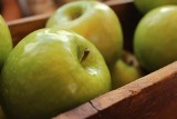Milionowa kara dla firmy skupującej jabłka. Spółka działa też w województwie lubelskim