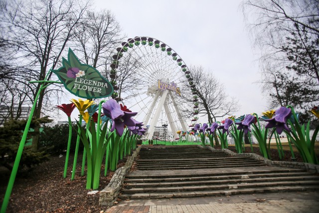 Legendia FlowerNajwiększa rodzinna karuzela w Polsce mieszcząca 216 osób w 36 tęczowych gondolach. Jest to jedno z miejsc z najlepszym widokiem w mieście, gdzie z wysokości 40 m nad ziemią można spoglądać na malowniczy krajobraz Parku Śląskiego.