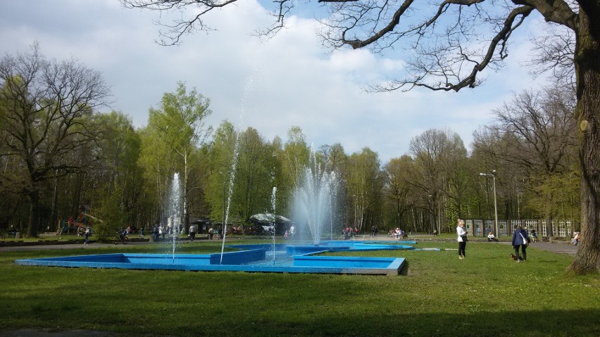 Dębowy Maj Festiwal nad Pogorią