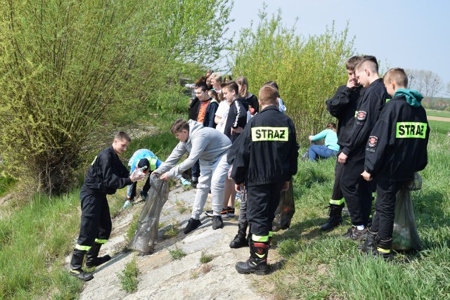 Sprzątanie brzegów Osobłogi w Racławicach Śląskich