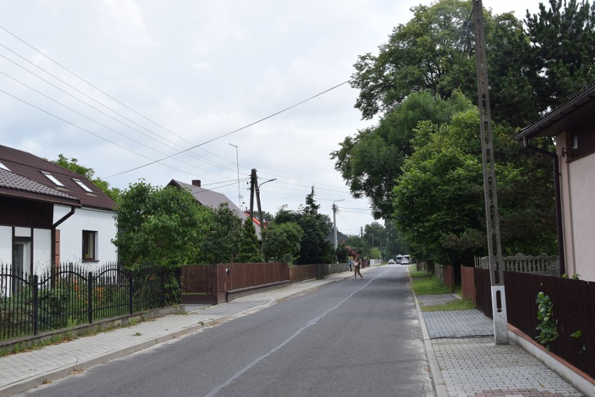 Policja wydała oświadczenie w sprawie zabójstwa w Borowcach...