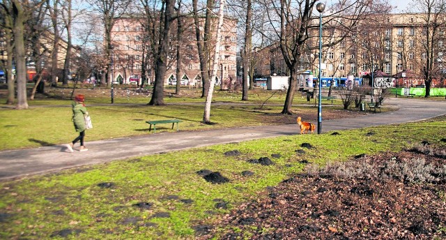 Nowym planem zagospodarowania dla terenów zielonych ma być objęty także m.in. park Krakowski
