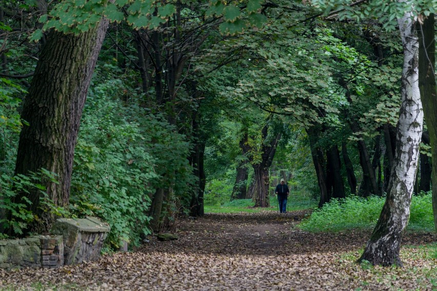 Park Zamkowy przejdzie zmianę