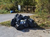 Dużo żądają za wywóz śmieci w Koronowie
