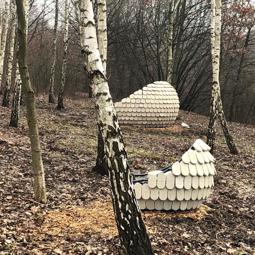 Kraków. Usiądź w kapsule i posłuchaj śpiewu ptaków. Nowy pomysł Zarządu Zieleni Miejskiej