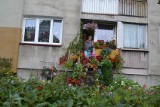 Wielkie święto miejskich ogrodników w Suwałkach (zdjęcia)