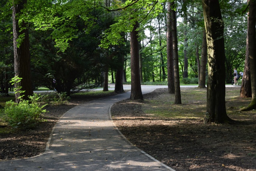 Park Miejski w Gorlicach po rewitalizacji. Jest mnóstwo...