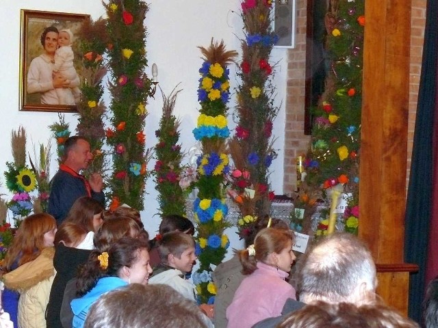 Palmy zgłoszone na konkurs wystawione były w kościele.