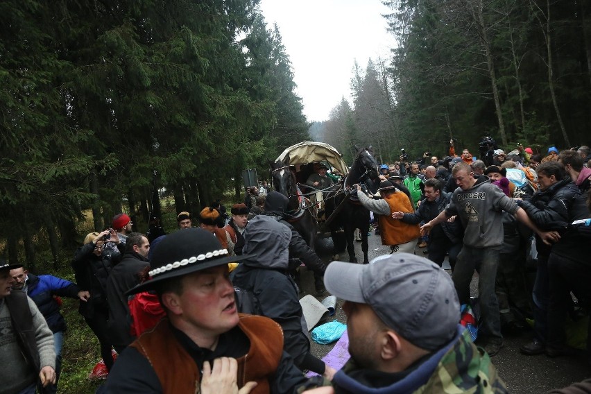 Przepychanki obrońców koni na drodze do Morskiego Oka z...