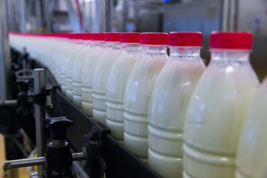 Prognozy dotyczące spożycia mleka na ten rok też są...