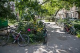 Kraków. Plac Biskupi czekają duże zmiany. Kiedy rozpocznie się remont?