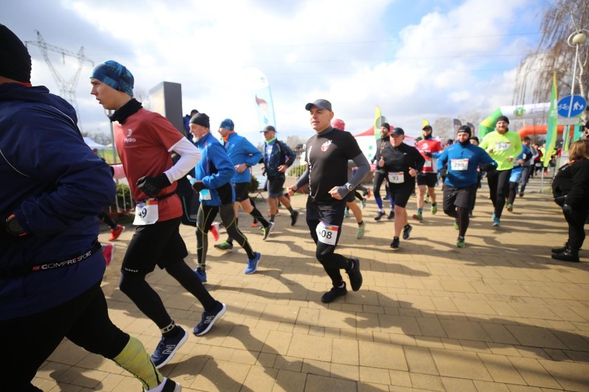 W XIV Półmaratonie Dąbrowskim wystartowało 500 biegaczy...