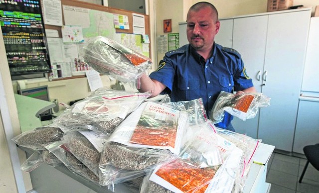 Straż Miejska w Koszalinie rozdaje za darmo specjalne pakiety