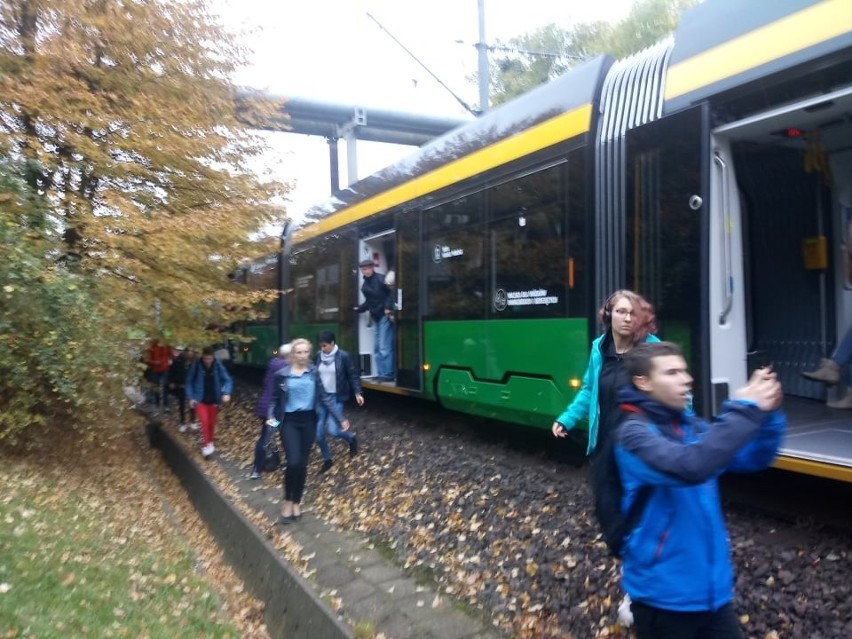 Tramwaje na PST stanęły, ponieważ jednej z bimb zasłabł...