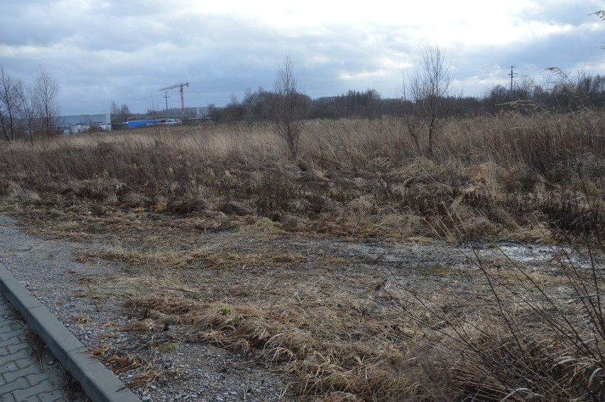 Liszki. We wszystkich miejscowościach w gminie obowiązują nowe plany zagospodarowania przestrzennego