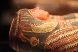 Katowice. Wystawa w Muzeum Śląskim o badaniach mumii egipskich